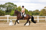 SBM_006631