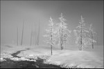 Light  Shade Mono