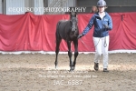 JAC_6587