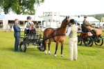SBM_00332
