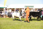 SBM_08340