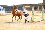 SBM_000913