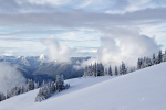 Winter - 7