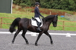 SIAL9482