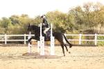 SBM_000586