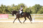 SBM_007537