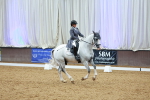 SBM_006008