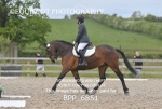 BPP_6851