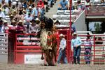 3HRodeo7-20-25_CFD_03293_