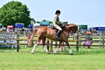Class 58 - TSR  Ridden Veteran Amateur of the year portfolio