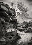 Path at Brimham Rocks