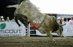 3HRodeo8-5-24_CFD_3HR-YUMA- 6125_