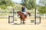 SBM_007590