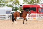 SBM_16907