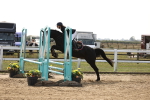 SBM_002910