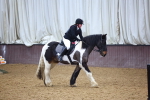 SBM_000169