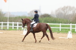 SBM_006664
