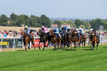 120826-Race 3-Sir David-6099