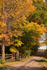 Autumn in Canada