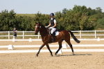 SBM_006464