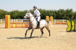 SBM_000307