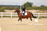 SBM_000491