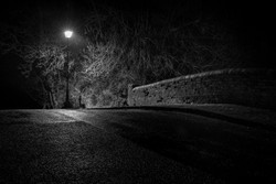 Bridge over the Canal
