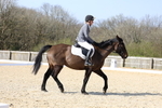 Pendarves Summer Dressage Series 06.04.2025 portfolio