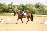 SBM_015662