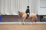 SBM_002182