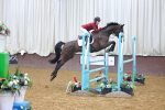 SBM_002595