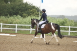 SBM_000857