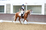 SBM_008054