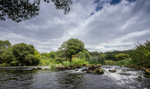 Dudsbury Stour