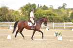 SBM_009948