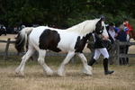 WJ6_8340