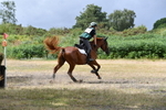 WJ5_1797