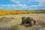 Fall Colors