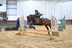 Class 36 - 70cm Training Stakes portfolio