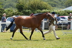 DSC06358