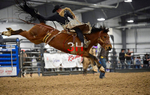 3HRodeo_Frozen_Fury_FEB_2026_01647
