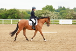 SBM_005339