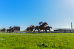 220426-Race 5-Evocative Spark-0736