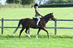 SBM_54027