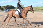 BPP_9352