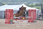 BPP_1195