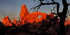 Turret Arch
