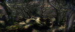 Wistmans Wood