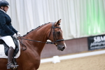 SBM_015484