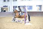 SBM_000264